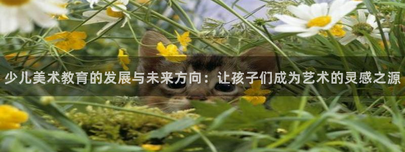 fh至尊平台安全密码忘记了