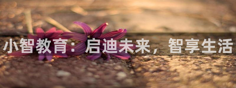 FH-FH至尊版的功能