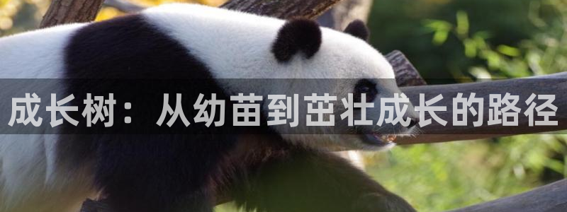 fh至尊基础奖金多少