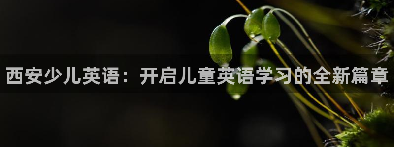 fh至尊游戏彩票