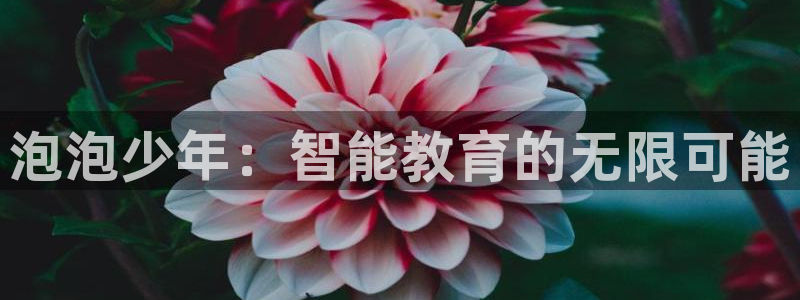 凤凰娱乐FH至尊