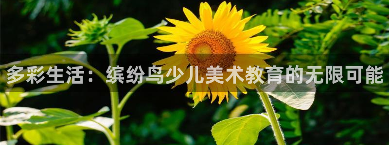 fh至尊邀请码