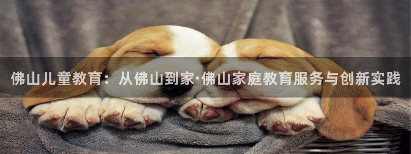 FH至尊平台怎样