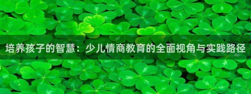 fh至尊平台怎么打不开了呢