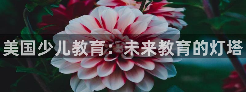 至尊FH平台