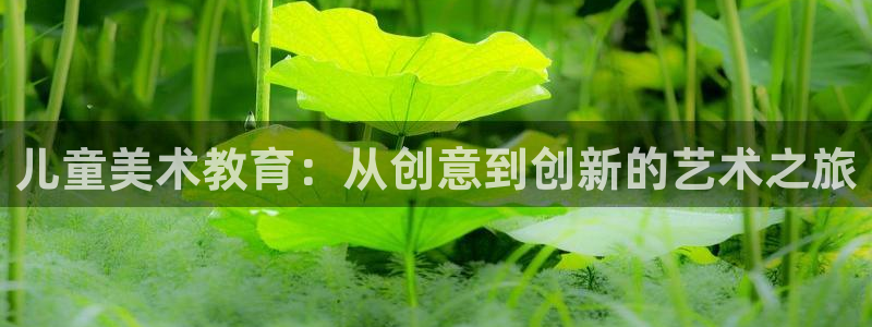 FH至尊招商