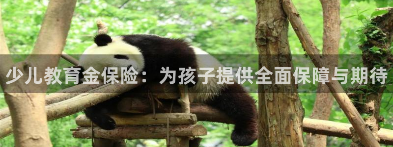 fh至尊平台安全密码忘记了