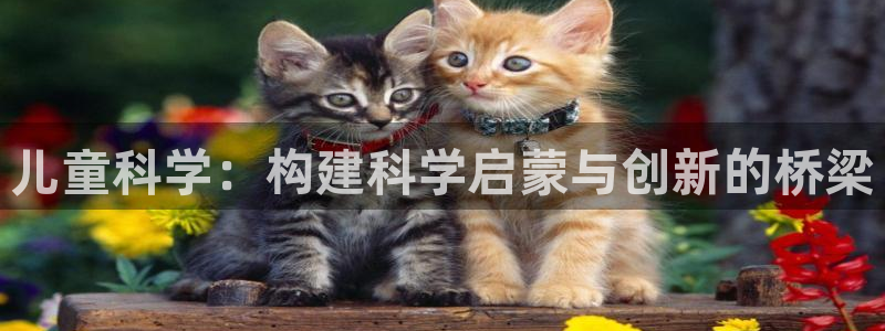 FH凤凰至尊娱乐