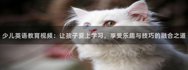 FH至尊平台登录