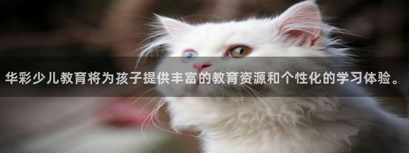 fh至尊双色球开奖结果