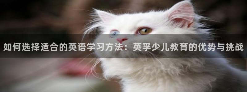 FH至尊娱乐平台