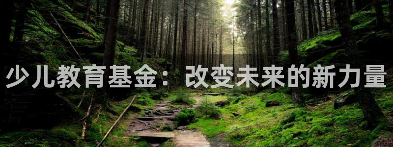 fh至尊多少年了