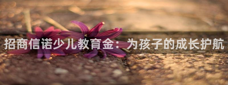 fh至尊官方旗舰店