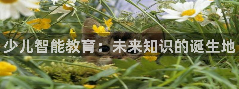 FH至尊平台注册