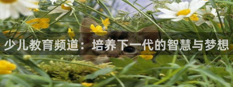 fh至尊游戏代理