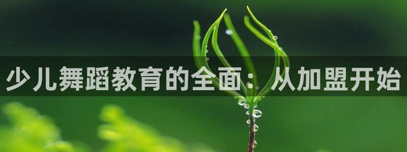fh至尊什么意思