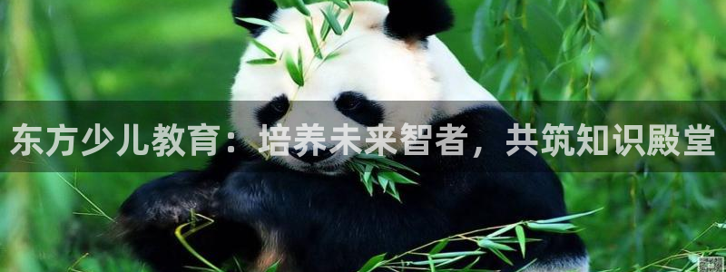 fh至尊凤凰