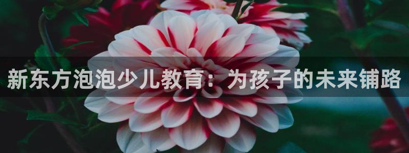 fh至尊基础奖金多少