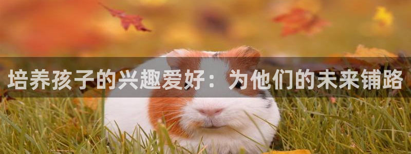 fh至尊是不是黑平台