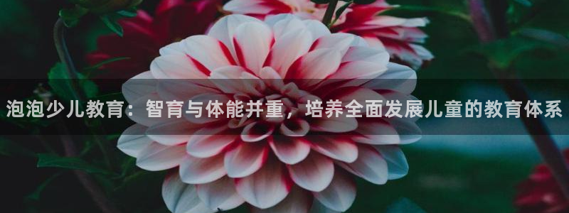 FH至尊出问题了