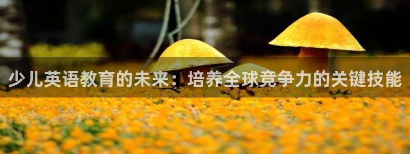 fh至尊闪退