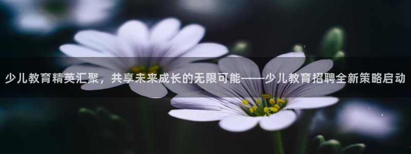 fh至尊安全吗