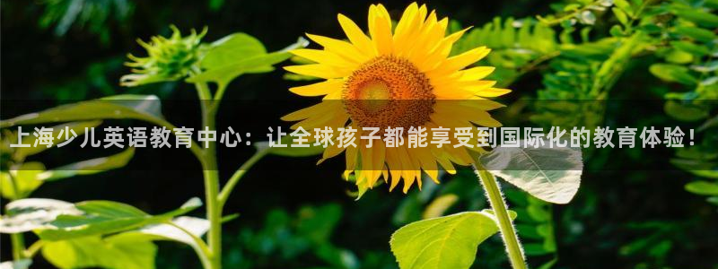 FH-FH至尊版的功能