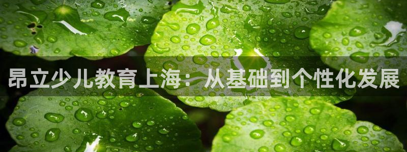 fh至尊是老凤凰平台吗