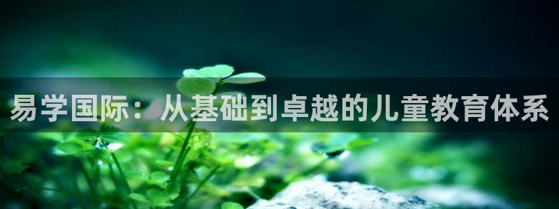 fh至尊平台APP