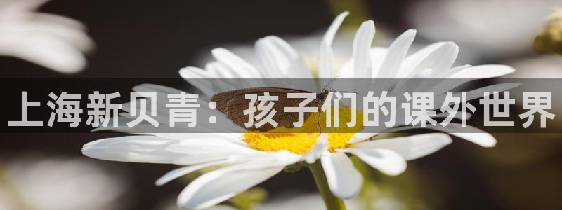 fh至尊平台黑吗