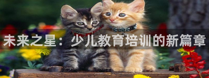 凤凰至尊fh凤凰版0a