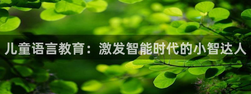 FH至尊平台怎样