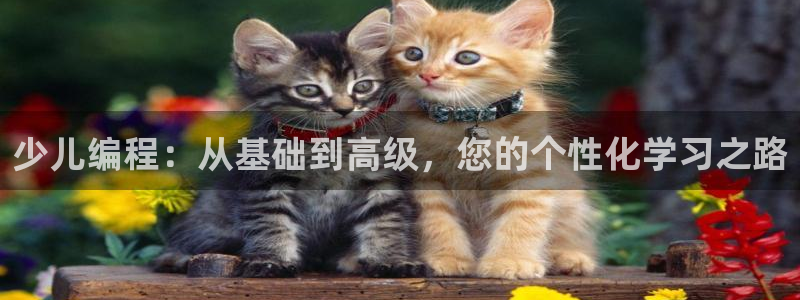 fh凤凰至尊平台