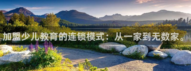 凤凰至尊FH正常登录