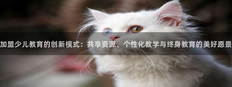 fh至尊官方网站