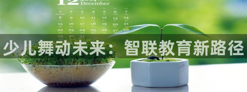 FH至尊是什么意思