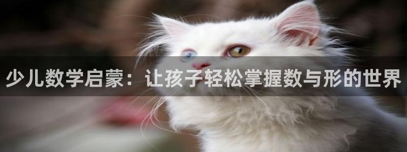 FH至尊平台注册