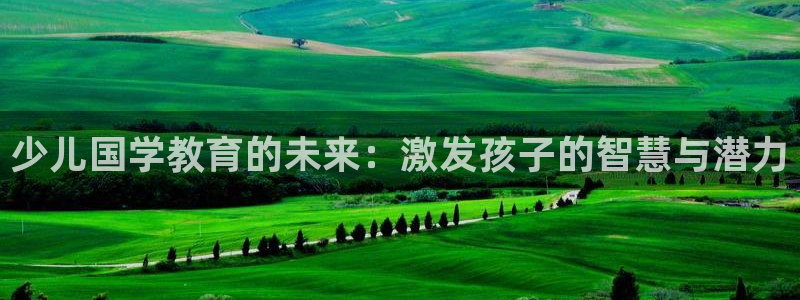 fh至尊多少年了