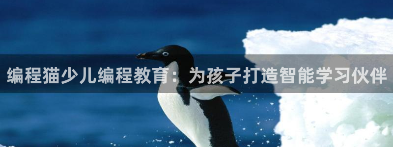 FH至尊是什么意思