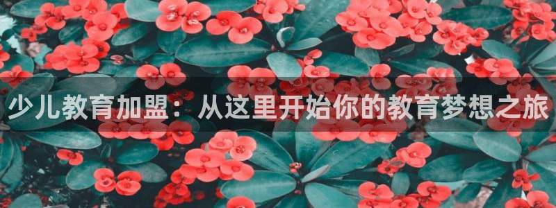 FH至尊娱乐注册