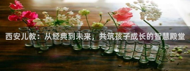 FH-FH至尊版的功能