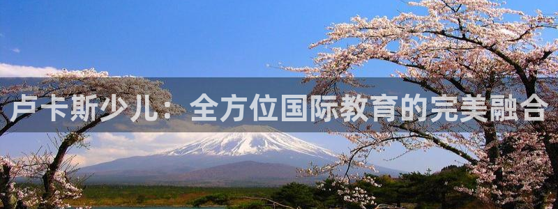 FH至尊信誉怎么样