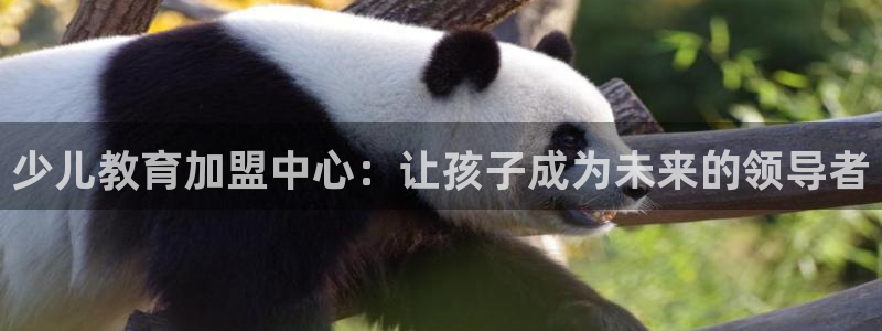 FH至尊官方入口