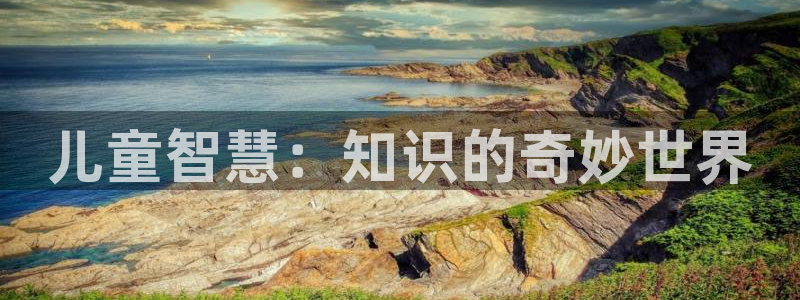 FH至尊属于哪里啊公司