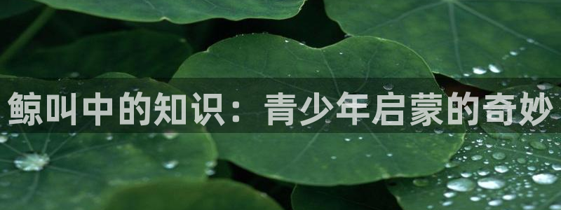 fh至尊基础奖金多少