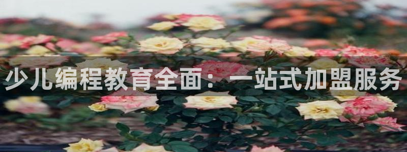 凤凰至尊fh凤凰版0a