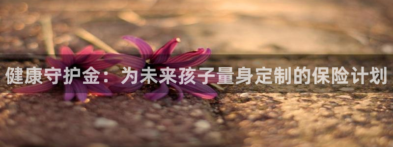 fh至尊手机端进不去